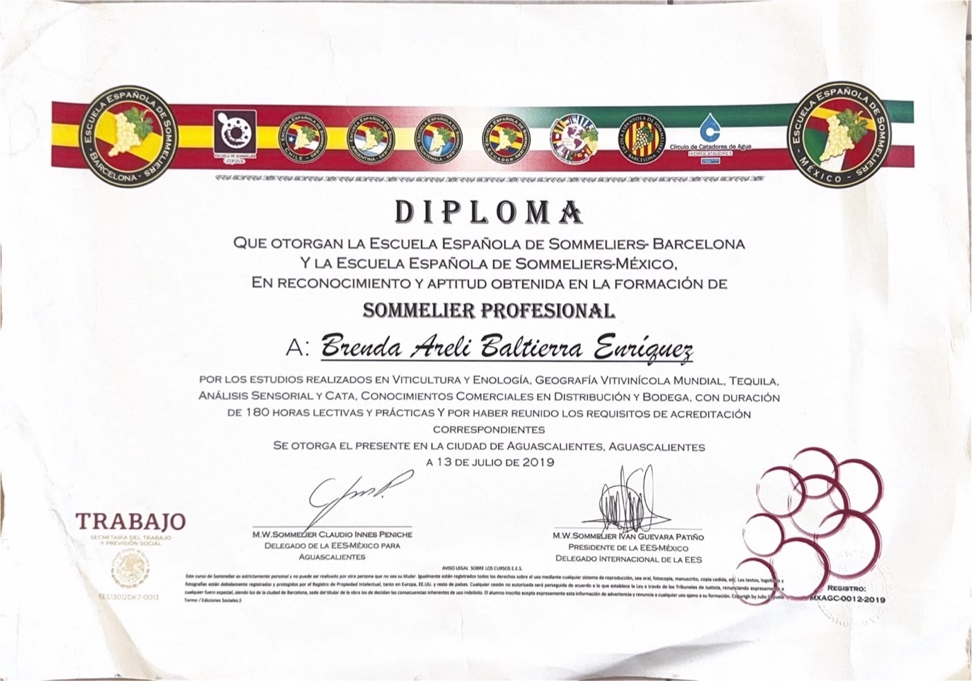 Diploma Sommelier Profesional